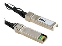 Dell 10GbE Copper Twinax Direct Attach Cable - Câble à attache directe - SFP+ (M) pour SFP+ (M) - 3 m - twinaxial - pour Networking N1148; PowerSwitch S4112, S5212, S5232, S5296; ProSupport Plus X1026, X1052 470-AAVJ