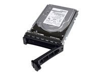 Dell - Disque dur - 2.4 To - échangeable à chaud - 2.5" (dans un support de 3,5") - SAS 12Gb/s - 10000 tours/min - pour PowerEdge C6420 (3.5") 401-ABHS