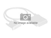 Uniformatic - Câble SATA - Serial ATA 150/300/600 - SATA (M) pour SATA (M) - 50 cm - verrouillé 52580
